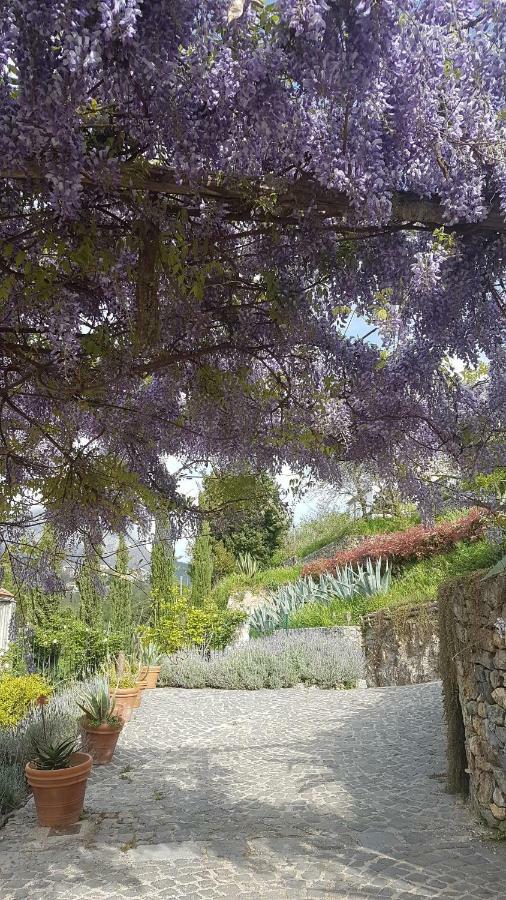Ancient Estate "Il Trignano" Villa วิเอตริ ภายนอก รูปภาพ