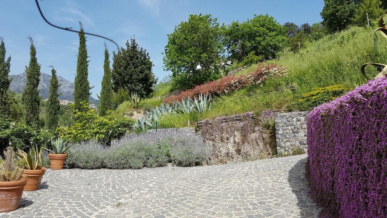 Ancient Estate "Il Trignano" Villa วิเอตริ ภายนอก รูปภาพ