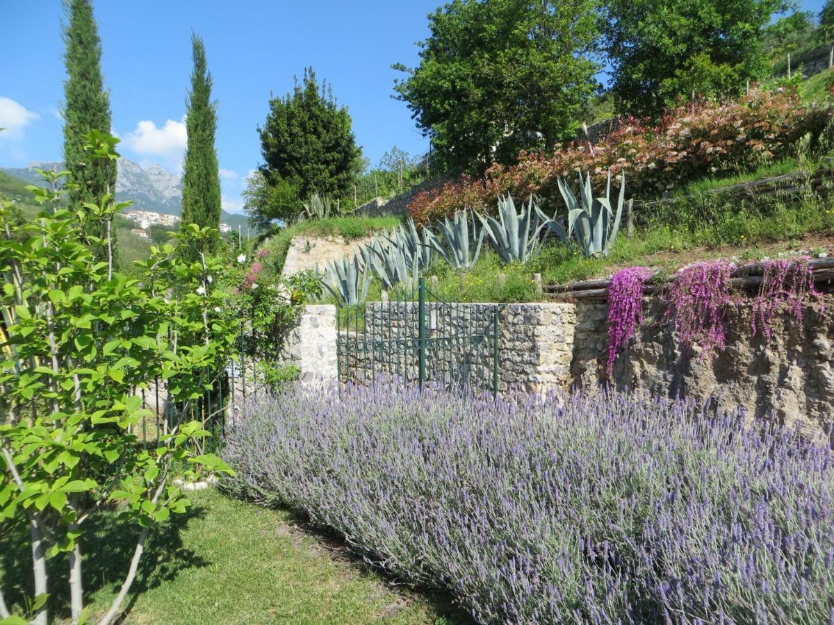 Ancient Estate "Il Trignano" Villa วิเอตริ ภายนอก รูปภาพ